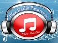FLES RADIO POZAREVAC